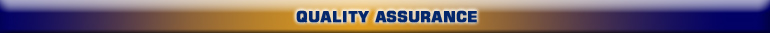 Wyatt Services, Inc.